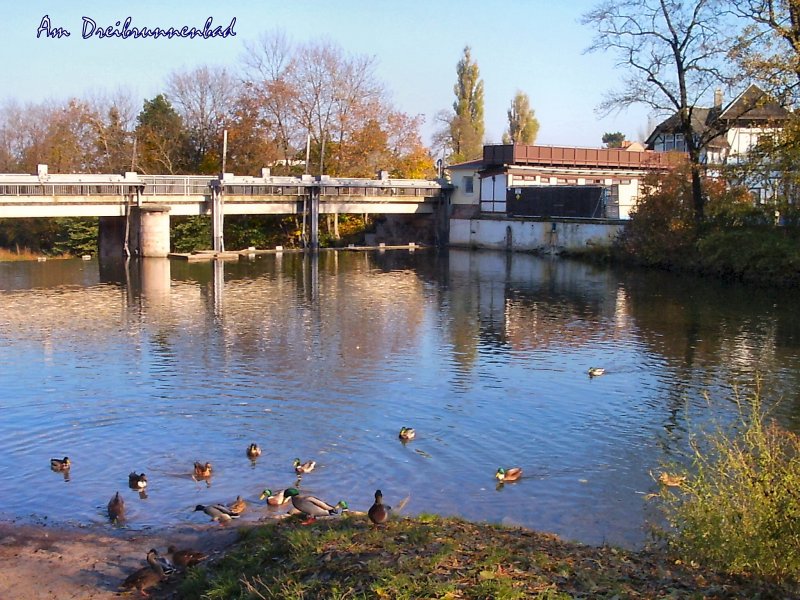 ERFURT Die Gera am Dreibrunnenbad, 2005