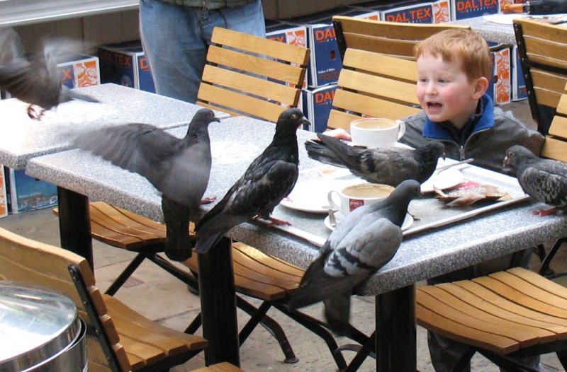 Es ist nicht einfach ungestrt sein Essen zu geniessen.
(Covent Garden im April 2008)