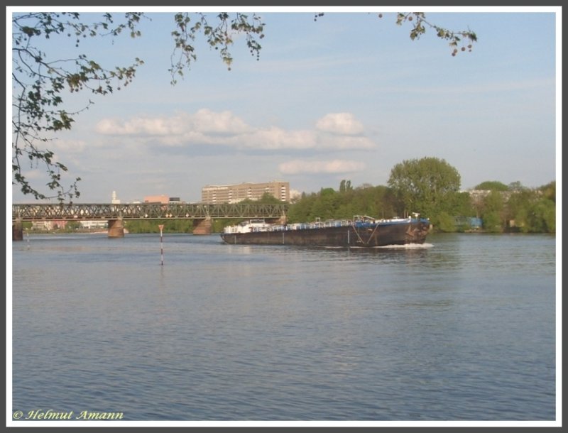 Frankfurt am Main Blick auf den Fluss vom Sommerhoffpark im Stadtteil Gutleut in Richtung Osten, im Hintergrund die Main-Neckar-Brcke (eine Bahn- und Fussgngerbrcke) und das Hauptgebude der Universittsklinik (Aufnahme am 03.05.2008)
