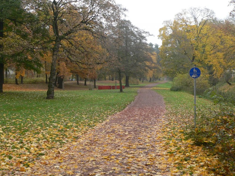 Gefunden. Wer nach links abgebogen ist, dann wieder nach rechts, hat nichts falsch gemacht (wenn man mal davon ausgeht, dass das kurze Teilstck dazwischen befahren werden darf). 2.11.2007