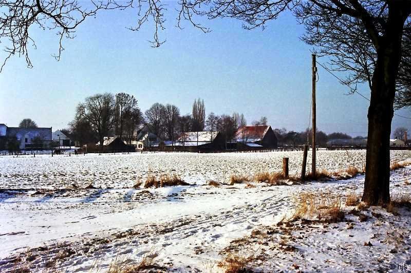 Gehfte am Stadtrand (8. Januar 1997)