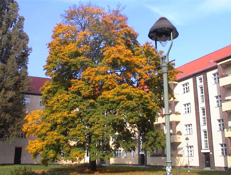 Gelnitzstrae in Berlin-Kpenick. Die Huser sind aus den 30er Jahren, es gibt hier noch echte Gasbeleuchtung. Hoffentlich noch lange. 2001