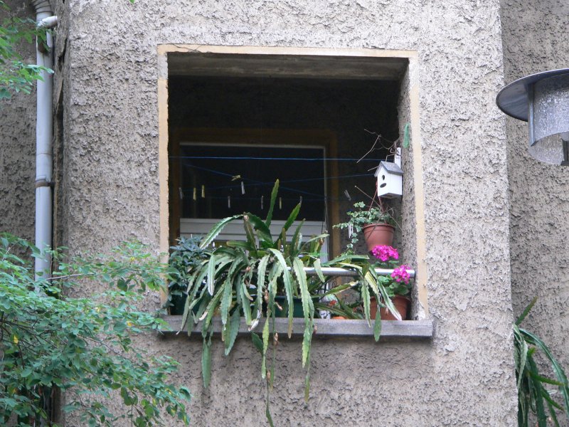 Gemtlichkeit im Prinzenviertel in Karlshorst, Bezirk Lichtenberg. Noch sind nicht alle Huser modernisiert und gedmmt, den Wohnkomfort schmlert dies nicht. 29.8.2008