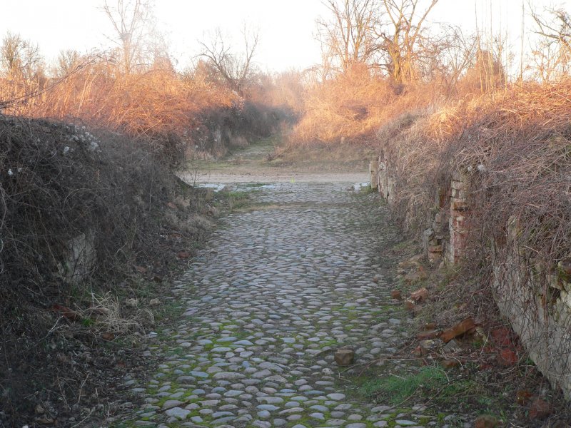 Geschichte zum Anfassen. Dies ist eine kleine Gasse, die zwischen zwei Husern entlangfhrte. Reste sind noch gut zu sehen. 2.2.2007