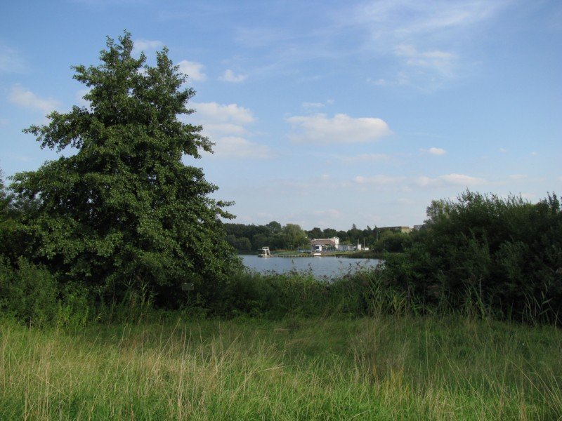 Grevesmhlen; Blick zum Sdufer des Ploggensee, 09.09.2008