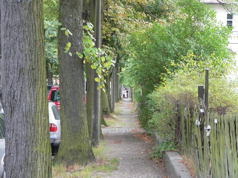 Grne Wege und wenig Verkehr - Prinzenviertel in Berlin Karlshorst. 29.8.2008