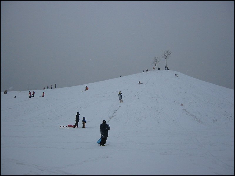 Hier sieht man den Rodelhgel in der Kalrsruher Gnther-Klotz-Anlage im Winter, genauer gesagt am 26.01.2006, fast aus dem selben Blickwinkel wie beim Bild zuvor. Auch im Winter wird der Rodelhgel gerne genutzt, ihr ahnt wozu?