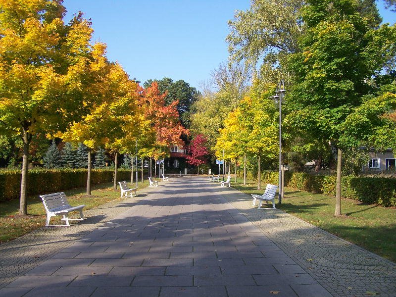 Im Kurpark von Bad Saarow
Aufgenommen am 8 Oktober 08
