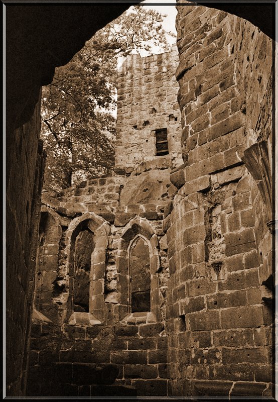 In den Mauern der Klosterruine auf dem Oybin; Mai 2005.