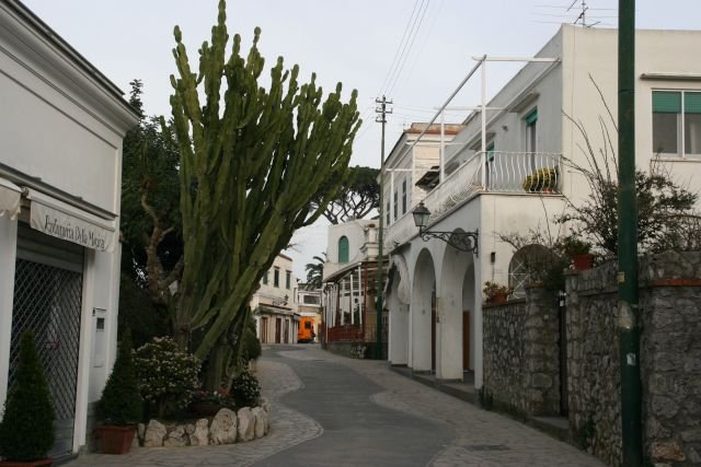 In der Via Giuseppe Orlandi in Anacapri; 27.01.2008
