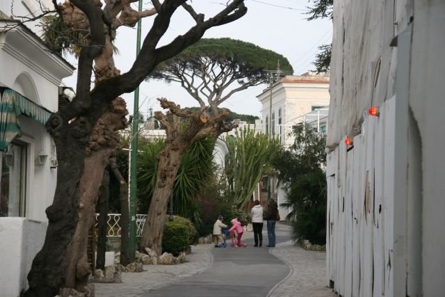 In der Via Giuseppe Orlandi in Anacapri; 27.01.2008 