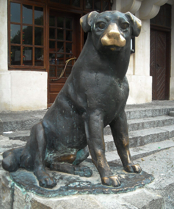 Kazimierz Dolny 08.2009.- Hund Denkmal 