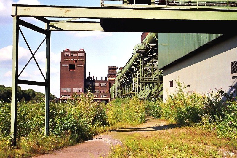 Kokerei Zollverein (20. Juli 2000). Die Brachflchen wie hier links im Bild, wo frher umfangreiche Gleisanlagen waren, erobert sich die Natur rasch zurck.