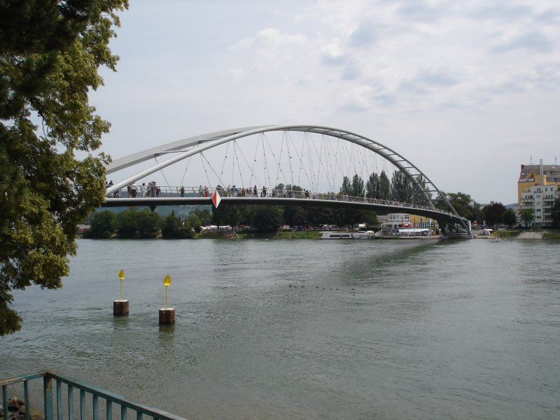 lngste freitragende Fugngerbrcke der Welt ,
ber den Rhein in Weil bei Basel,
Bogenspannweite 230m, 2007 erffnet,
