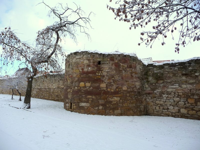 Laucha an der Unstrut - die alte Stadtmauer an der Oberpromenade mit Resten eines alten Wehrturmes - Foto vom 12.02.2009