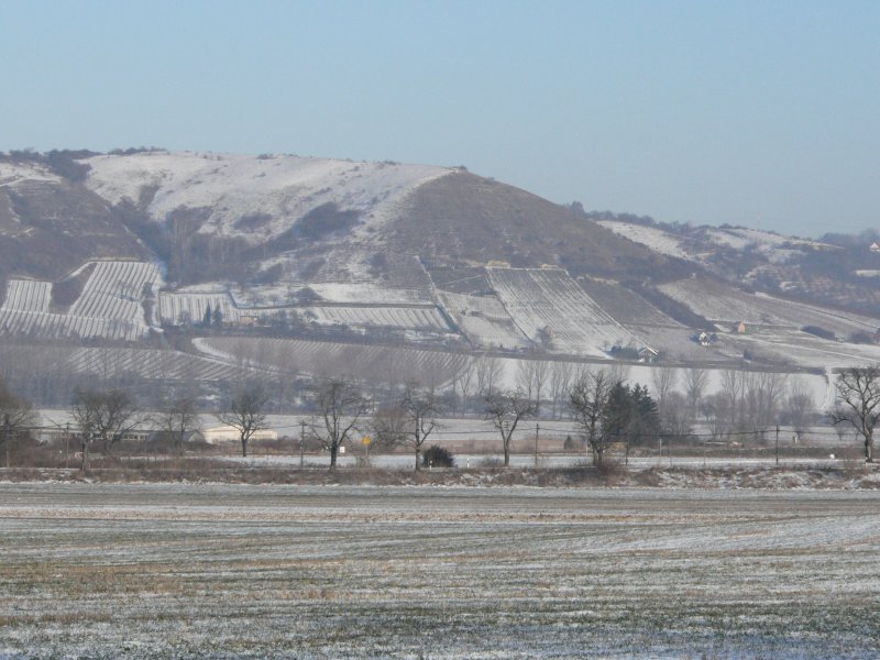 Laucha an der Unstrut - Blick von der Hirschrodaer Strae zum Nissenberg - Foto vom 11.01.2009