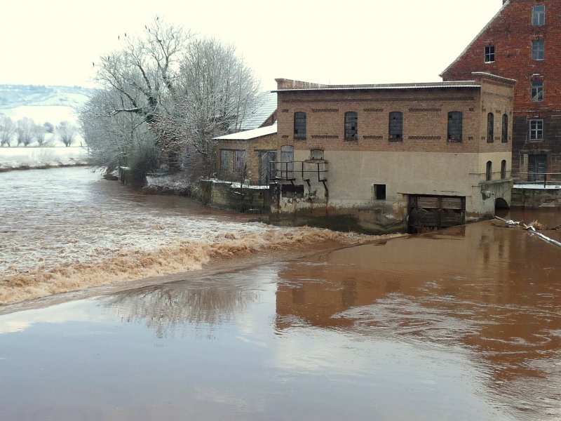 Laucha an der Unstrut - Blick ber das winterliche Wehr - in den kahlen Bumen sammeln sich Kormorane - Foto vom 12.02.2009 
