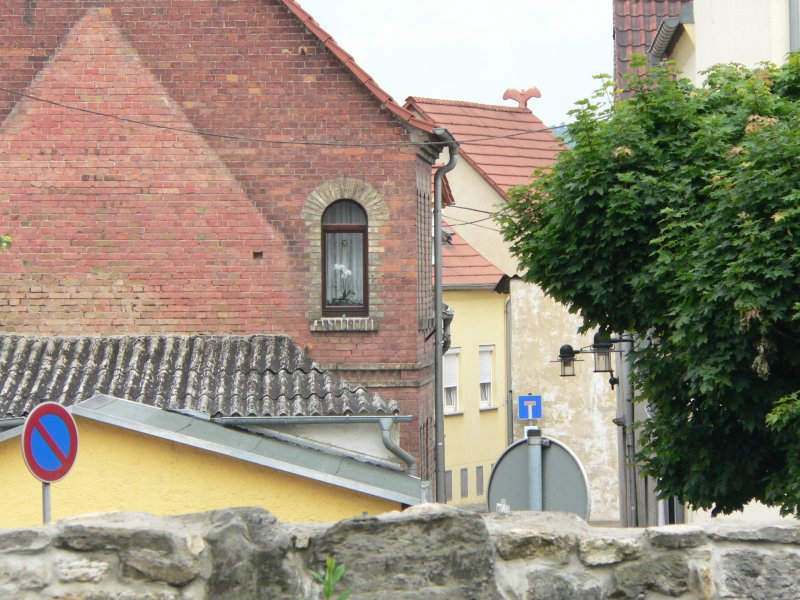 Laucha an der Unstrut - Blick ber die alte Stadtmauer Richtung Tpfergasse - 21.06.2009
