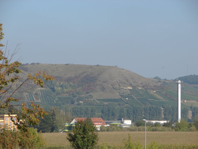 Laucha an der Unstrut - Blick vom Gewende zum Nissenberg - vorn die Gebude der Glockengold Fruchtsaft GmbH - Foto vom 27.09.2009
