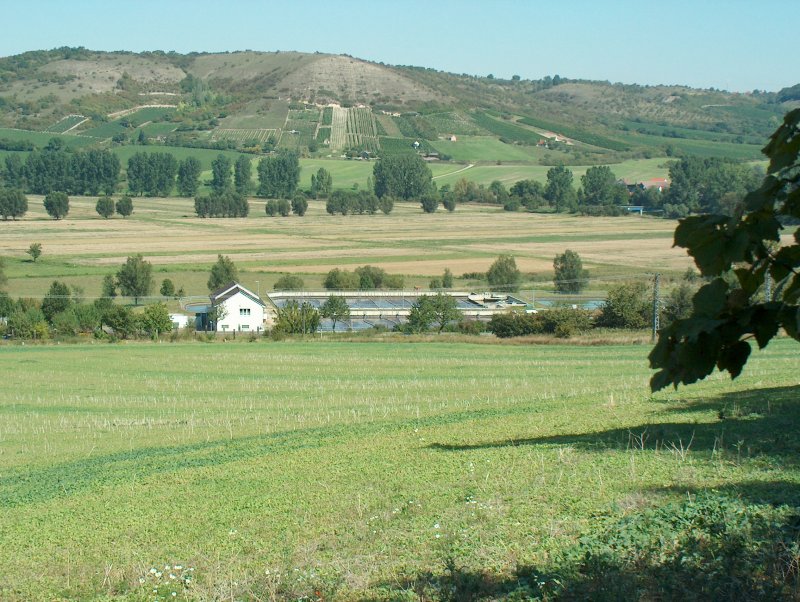 Laucha an der Unstrut - Blick zum Nissenberg bei Weischtz, im Vordergrund das Klrwerk Laucha - am 10.09.2006