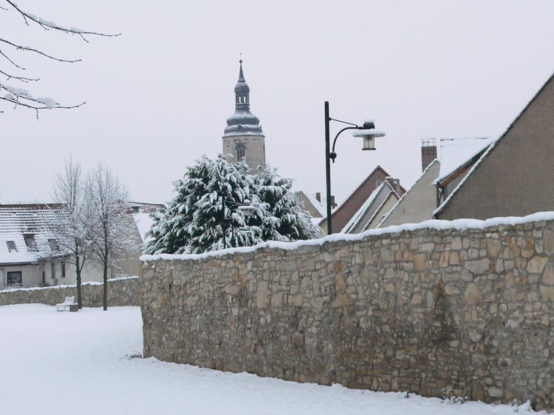 Laucha winterlich - 25.11.2008 - die historische Stadtmauer an der Unterpromenade