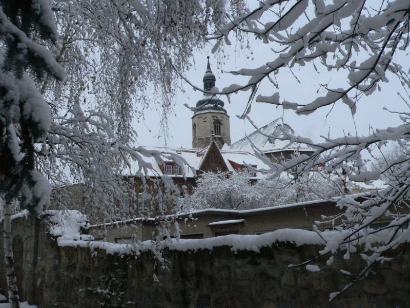 Laucha winterlich - 25.11.2008 - Blick von der Unterpromenade ber Stadtmauer, alte Schule zur Kirche