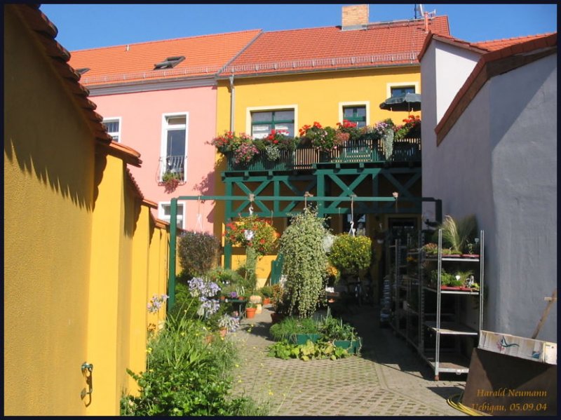 Mediteranen Flair vermittelt der Hinterhof dieses Hauses im Stadtkern von Uebigau, er wird als Verkaufsflche eines Blumenhndlers genutzt.