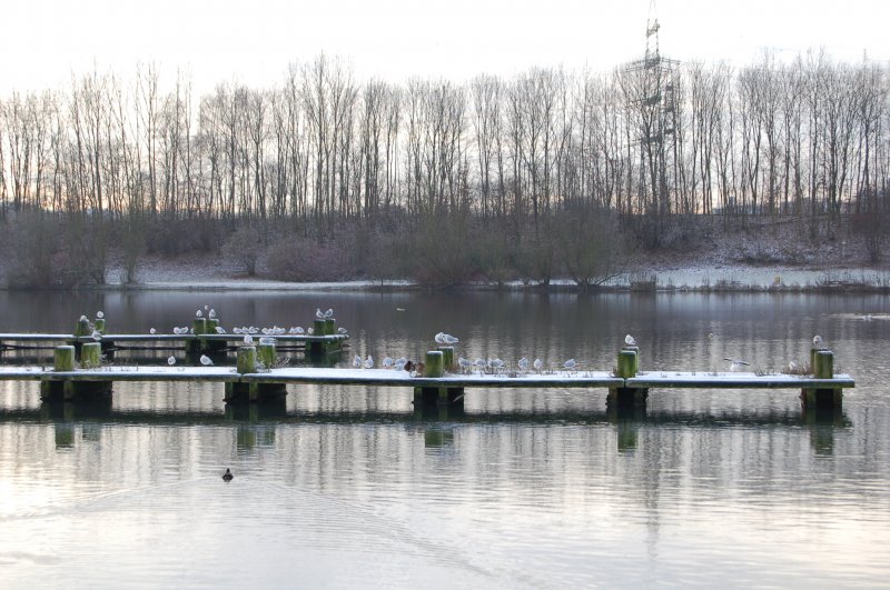 Mvenparkplatz auf dem mminger See in Bochum-Langendreer