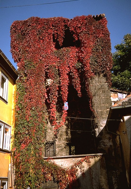 Mhlhausen - an der alten Stadtmauer, um 1992