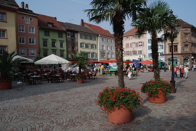 Mnsterplatz - Die Palmen geben dem seit ein ein paar Jahren umgestalteten Marktplatz ein sdliches Flair, vereint mit alemannischer Gemtlichkeit. 23.9.2006