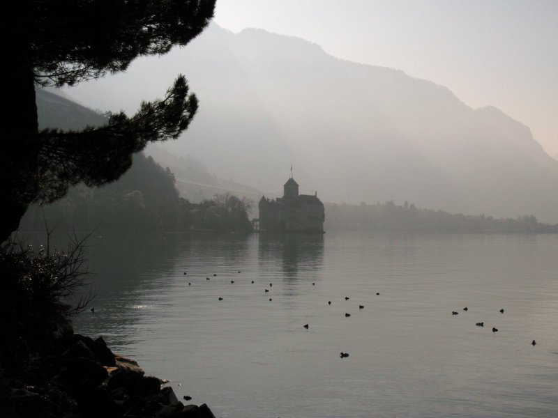 Mystisch, das Chteau de Chillon im Morgennebel.
(15.02.2008) 