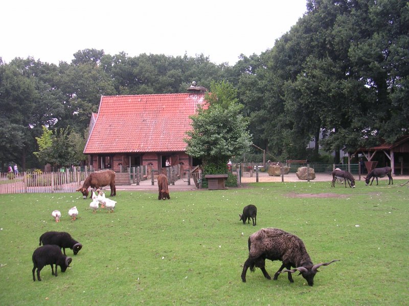 Nordhorn, historischer Vechtehof im Tierpark Nordhorn