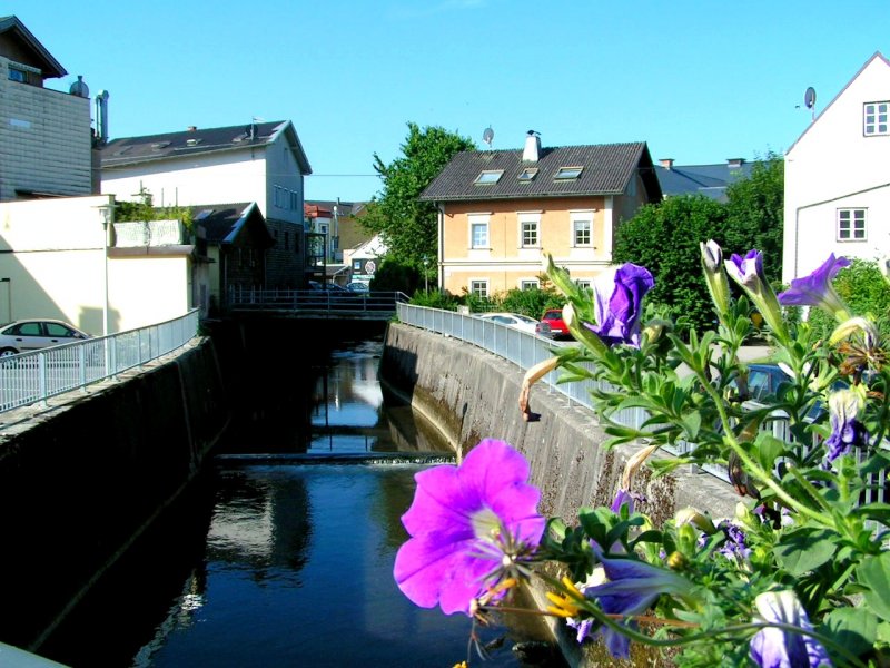 OBERACH, ein ruhiges Bchlein welches sich durch das ganze Stadtgebiet schlngelt, kaum zu glauben das hier 2002 die Wassermassen sogar das Brstungsgelnder berstiegen ; 080629