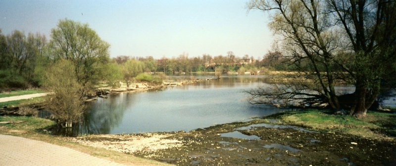 Ortsteil Aurith. Historischer Oderblick nach Urad dem polnischen Aurith, im Herbst 2000. 