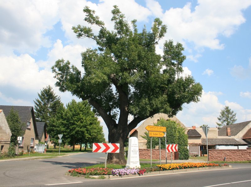 Ortsteil Bresinchen, Bresinchener Strae/Gro Breesener Strae mit Postsule