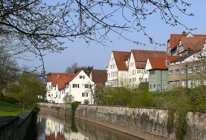 Partie an der Metter in Bietigheim/Bissingen am 18.04.2008