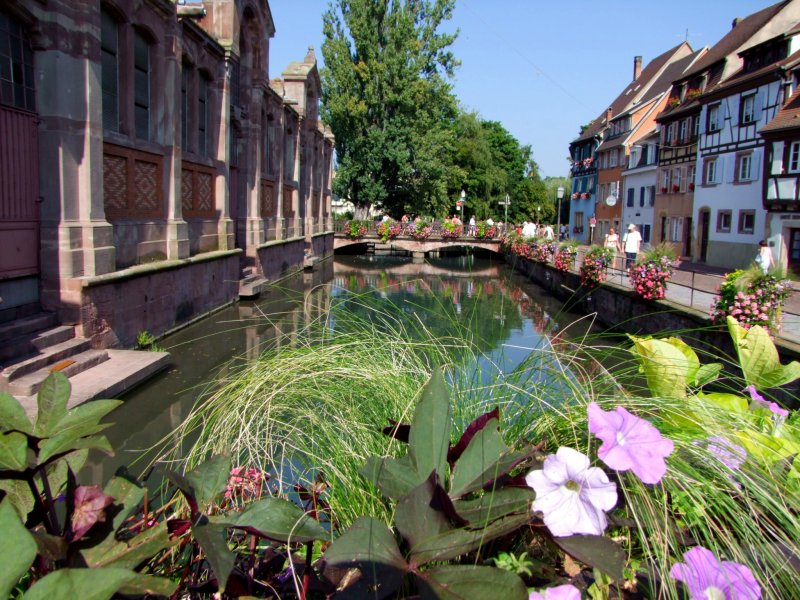 Prchtiger Blumenschmuck zieren die Gelnder entlang von „Klein-Venedig“; 080831