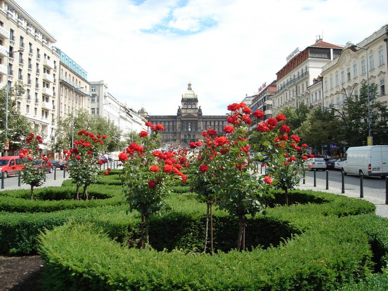 Prag. Blick vom Wenzelsplatz aus zum Museum  18.6.09