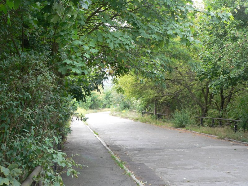 Prinzenviertel: Zwischen der Treskowallee und der Schlichtallee, die die berquerung von S- und Fernbahn mglich machen, aber weit auseinanderliegen, gibt es noch eine Fugngerbrcke ber die Bahnstrecke. 29.8.2008