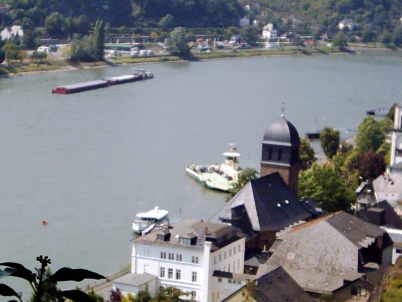 Rheinpanorama vom Rundweg zwischen Rdesheim und Amannshausen