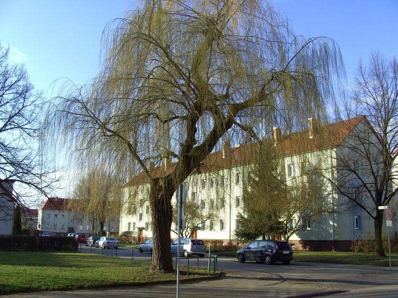 Rosa-Luxemburg Strae/Saarstrae mit Blick in die Saarstrae