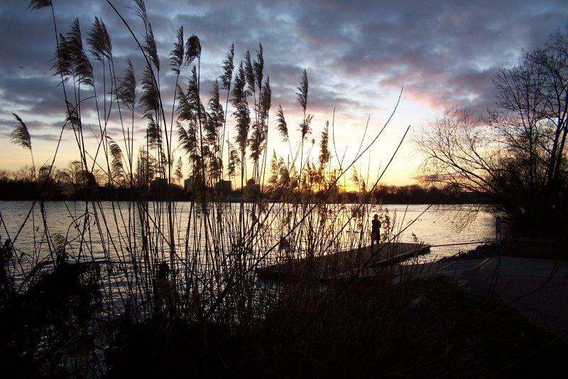 Samstag, den 03. Feb. 2007. Ein Bilderbuchwetter und ein Sonnenuntergang wie er schner kaum sein kann. Hier am Griesheimer Mainufer