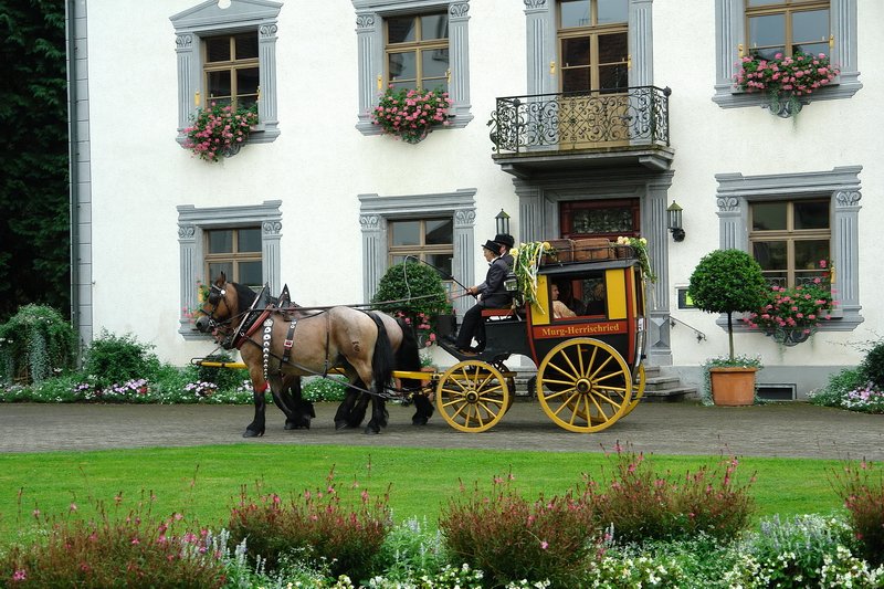 Schlopark - Auch eine alte Postkutsche von 1867 aus Murg war zum Erstaugabetag der Sonderbriefmarke   Alte Rheinbrcke   zur Freude vieler Briefmarkenkufer zu bestaunen. 4.9.2008