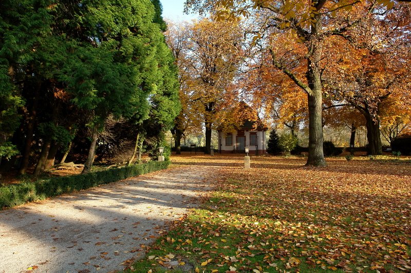 Schlopark - Das Grn der Mammutbume wetteifert mit dem Gelb der Kastanienbume. Wo sind nur die Menschen an diesem schnen Samstagnachmittag ? Etwa alle einkaufen ? 3.11.2007