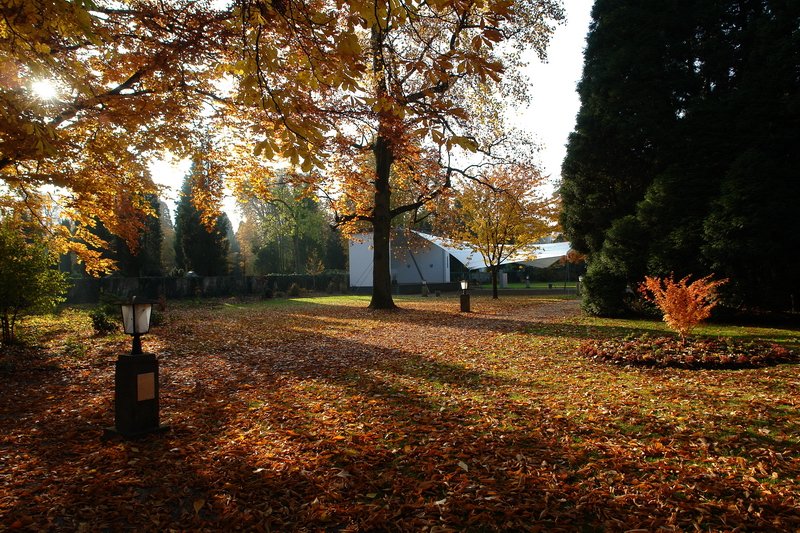 Schlopark - Der Herbst in seinen bunten Farben erfreut das Herz und die Seele. Links hinter der Mauer liegt der denkmalgeschtzte alte Au-Friedhof. 3.11.2007