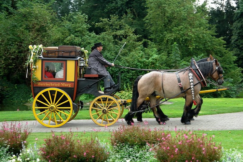 Schlopark - Nach einer kleinen Runde im Schlopark mit der alten Postktutsche aus Murg, geht es mit frhlichen Fahrgsten zu einer kurzen Fahrt durch die Altstadt. 4.9.2008