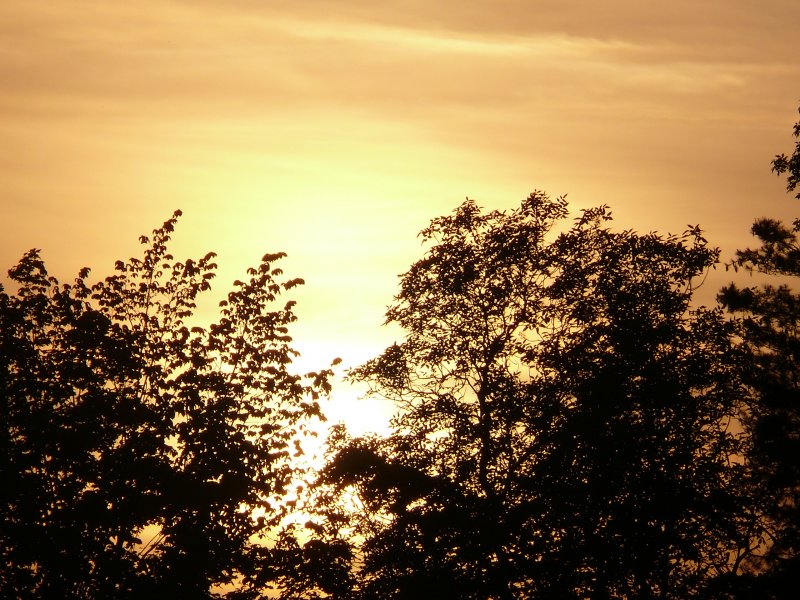 Sonnenuntergang in Tirschenreuth, 26. Mai 2009