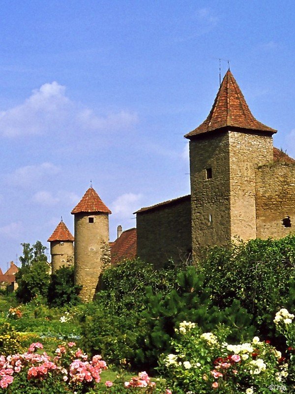 Stadtmauer von Mainbernheim (August 1978). Vor der Stadtmauer liegen die Grten, fr die innerhalb der Mauern kein Platz ist.