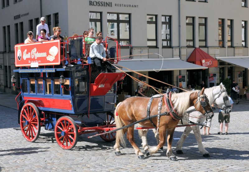 Stadtrundfahrt in Dresden mit der Pferdekutsche - 31.08.2009