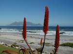 Tafelberg, Kapstadt vom Bloubergstrand